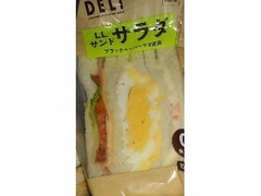 フランソア LLサンド サラダ 商品写真