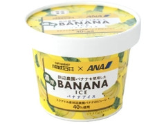 成城石井 成城石井×ANA 田辺農園バナナを使用した濃厚バナナアイス
