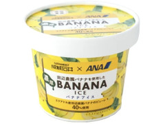成城石井 成城石井×ANA 田辺農園バナナを使用した濃厚バナナアイス 商品写真
