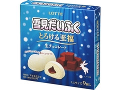 雪見だいふく とろける至福 生チョコレート 箱27ml×9