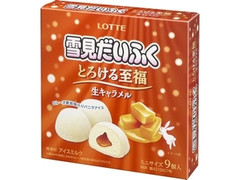 ロッテ 雪見だいふく とろける至福 生キャラメル 商品写真