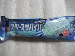 ロッテ グッドプライス スペースサバイバー チョコチップ＆ミント 商品写真