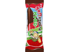 ロッテ チョコかけちゃったスイカバー