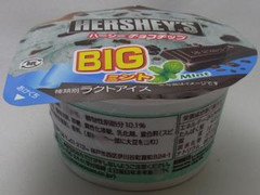 HERSHEY’S ハーシー チョコチップビッグミント