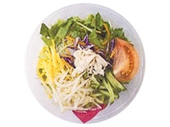 デイリーヤマザキ ベストセレクション 10品目のごまだれサラダうどん 商品写真