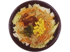 ベストセレクション 1日分の野菜が摂れるちゃんぽん