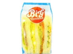 ベストセレクション 大きなサンド 野菜ミックス