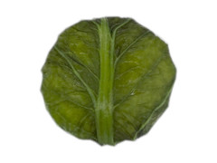 デイリーヤマザキ デイリーホット 高菜の葉おむすび 高菜たくあん 商品写真