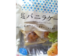 エース 塩バニラケーキ 商品写真