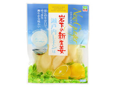 イワシタ 岩下の新生姜 瀬戸内レモン味 商品写真
