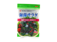  袋40g