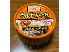 さば味噌煮 さば味噌煮 100g（内容総量160g ）