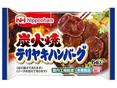 ニッポンハム 炭火焼テリヤキハンバーグ 商品写真