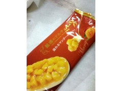 SEIKA 魅惑のドルチェバー 溢れるマンゴーの味わい 商品写真