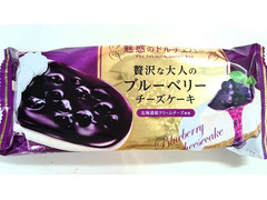 SEIKA 魅惑のドルチェバー 贅沢な大人のブルーベリーチーズケーキ 商品写真