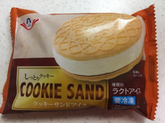 田口 クッキーサンドアイス