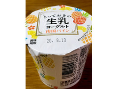 HOKUNYU とっておきの生乳ヨーグルト 南国パイン 商品写真