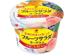 HOKUNYU フルーツサラダヨーグルト 商品写真