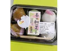 矢野食品 小さな和菓子詰合わせ