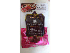 常盤薬品 鉄＋大豆イソフラボン チョコレートサプリメント 商品写真