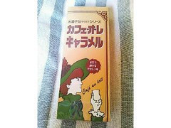 木村甲佐 お菓子ならくのうシリーズ カフェ・オ・レキャラメル 商品写真
