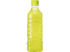 伊右衛門 ラベルレス ペット500ml