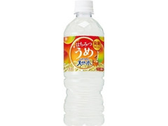  ペット540ml