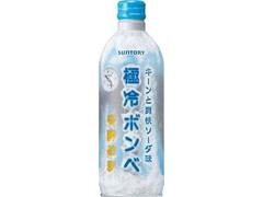 極冷ボンベ 缶490ml