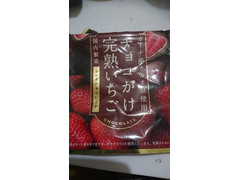 クリート チョコがけ完熟いちご ミルクチョコレート 商品写真