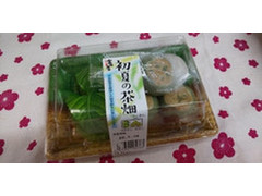 富田屋 初夏の茶畑 商品写真