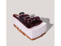 スターバックス ブルーベリーレアチーズケーキ