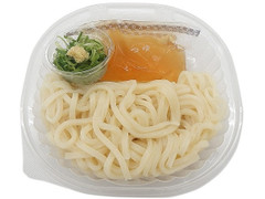 セブン-イレブン いりこの風味広がる！ぶっかけうどん