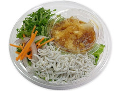 セブン-イレブン 茨城県水揚げしらすと粗おろしのパスタサラダ 商品写真