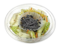 セブン-イレブン 塩昆布で食べる 白菜と大根のおつまみサラダ 商品写真