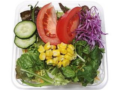 セブン-イレブン 10品目のミックス野菜サラダ