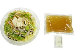 野菜盛り！冷製和風ちゃんぽん