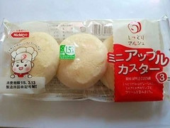 日糧 しっとりマルシェ ミニアップルカスター 商品写真