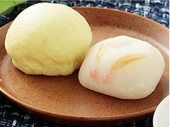 ローソンストア100 うさぎと満月 商品写真