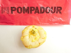 ポンパドウル パインクリームパン 商品写真