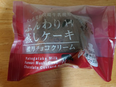 シャトレーゼ ふんわり蒸しケーキ 濃厚チョコクリーム 商品写真