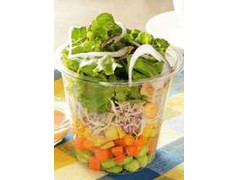 ナチュラルローソン 1食分の野菜が摂れるシェイカーサラダ 商品写真