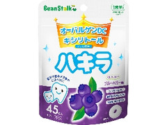 雪印ビーンスターク ハキラ ブルーベリー 袋45粒