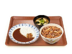 すき家 牛丼ミニカレーセット 並盛 商品写真