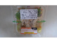 ニューデイズ 蒸し鶏と根菜のこんにゃく麺サラダ 商品写真