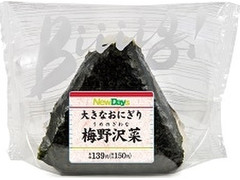 ニューデイズ 大きなおにぎり 梅野沢菜 商品写真