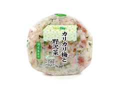 ニューデイズ カリカリ梅と野沢菜おにぎり