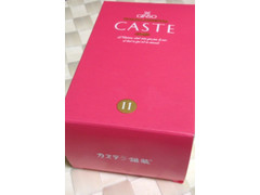 銀装 CASTE11