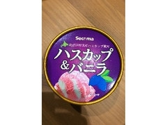 セイコーマート Secoma セコマ 北海道ハスカップ＆バニラ 商品写真