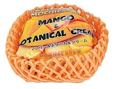 モチクリームジャパン フルーツモチクリームアイス マンゴー 商品写真