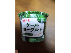 丹那牛乳 ×MASUDA KALE ケールヨーグルト 商品写真